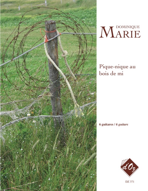 Pique-nique au bois de mi
