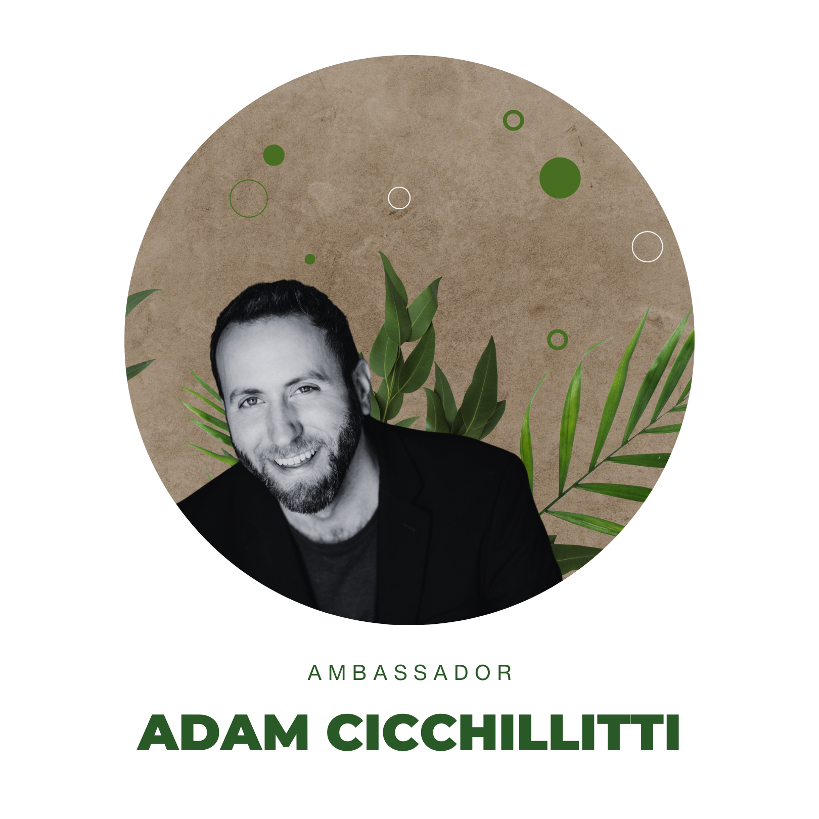 Adam Cicchillitti